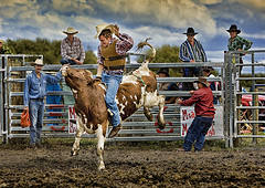 Chilliwack Fair Rodeo