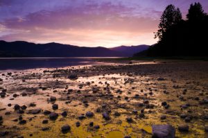 McCulloch_080708_3427