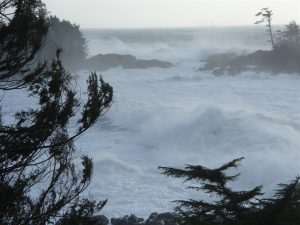Brave the wild in Ucluelet!