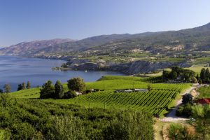 Naramata Bench wine region in the Okanagan