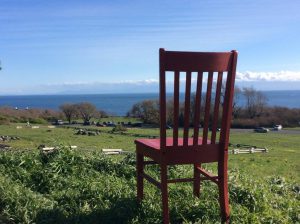 Red enjoys the view from Victoria's Beacon Hill Park
